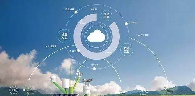 農業+AI:理想豐滿、現實骨感