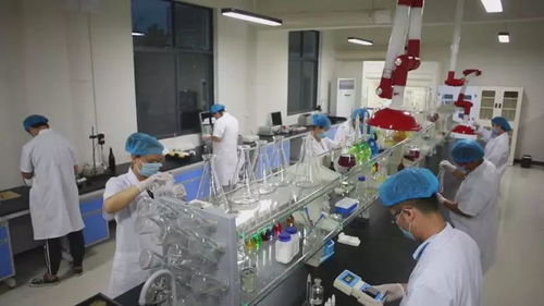 第100屆春季 成都 全國糖酒商品交易會 高品質(zhì)恒利康酵素 高利潤讓你手哆嗦 來我們?nèi)齻€特展展位看看 請帶好救心丸